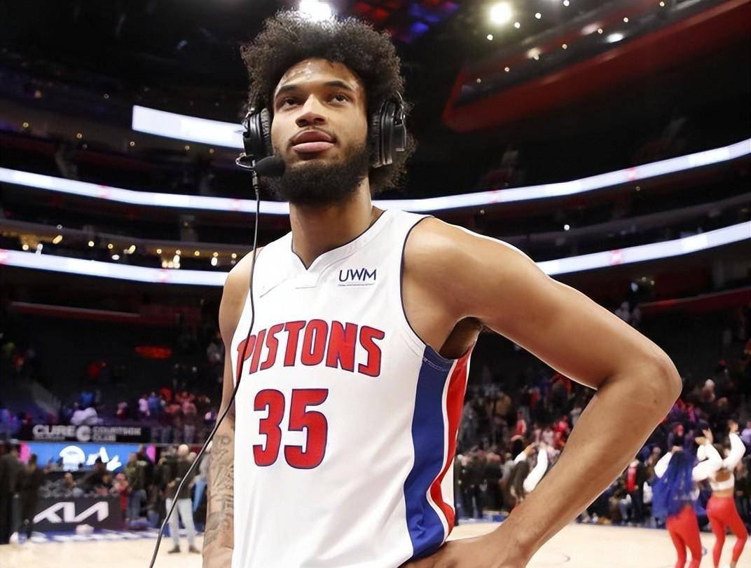 黄蜂逐渐陷 黄蜂逐渐陷