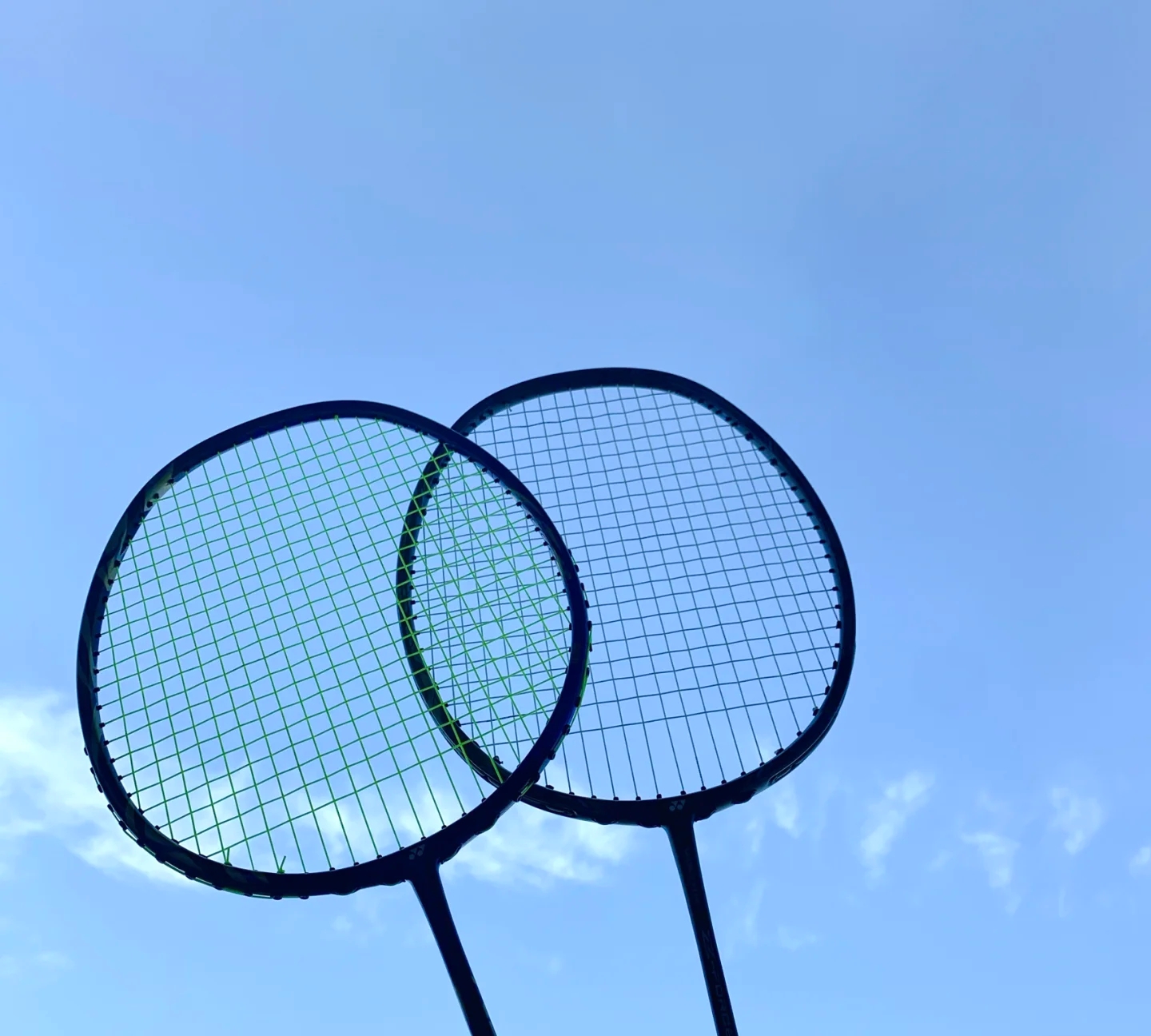 这一决定引 这一决定引