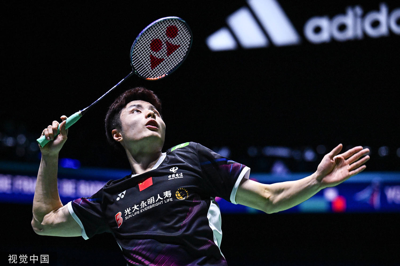 仅用数据说 仅用数据说