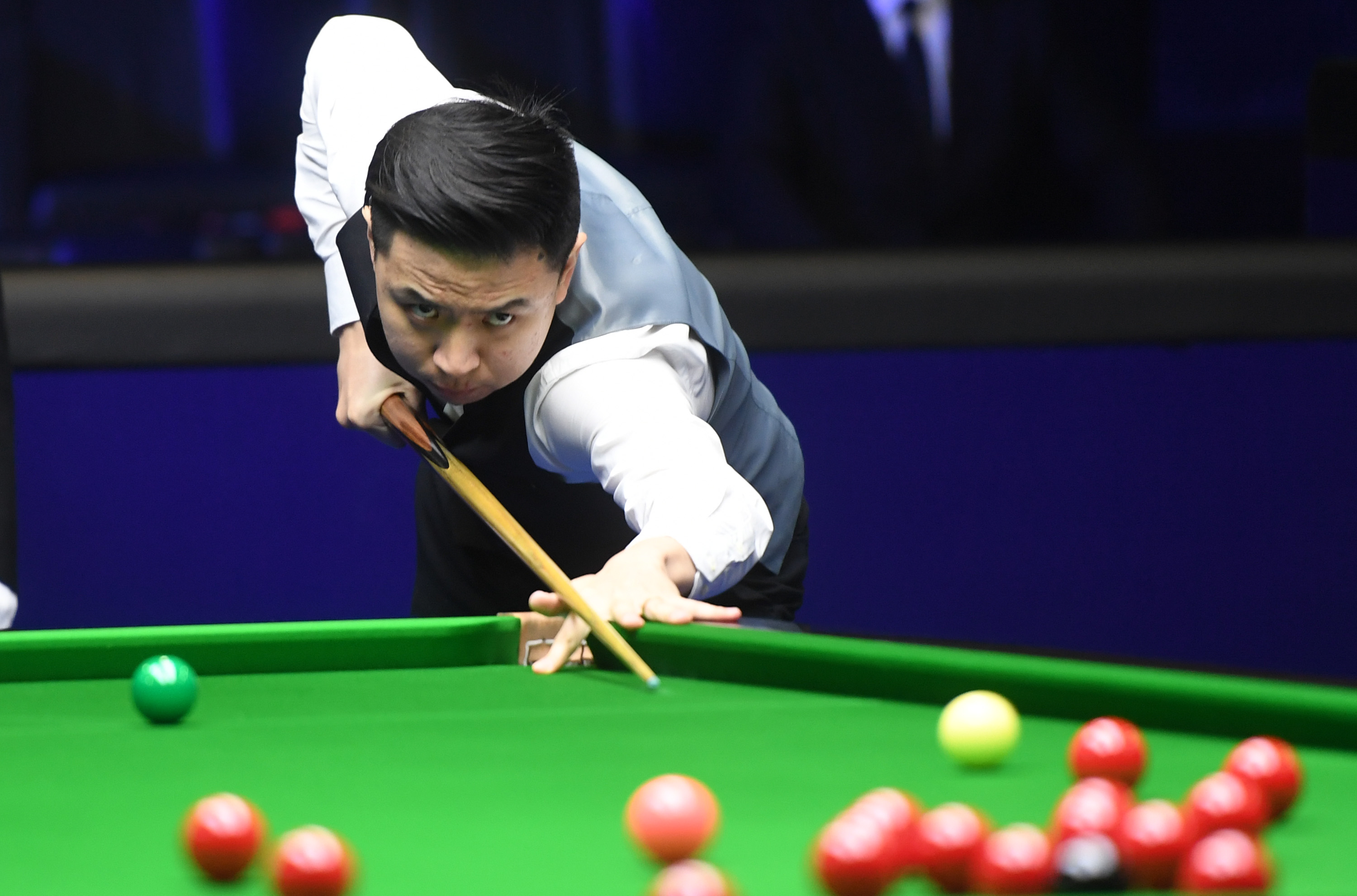 扬科维奇的 扬科维奇的