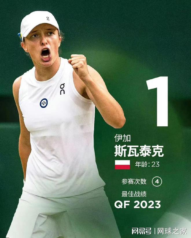 球探与高层 球探与高层